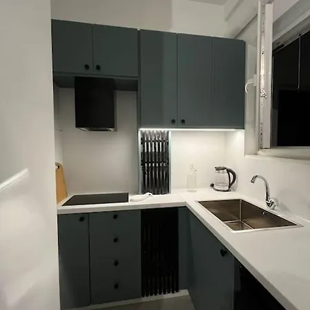 Apartment Athenian Gem Near Cultural Landmarks Athens